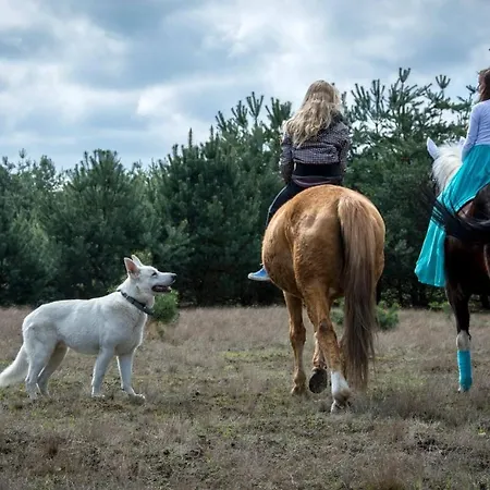 农家乐 Agroturystyka Trzcinowy Zakatek Wijewo