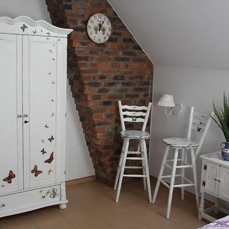 Agroturystyka Trzcinowy Zakatek 农家乐 Wijewo