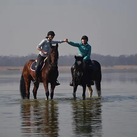 Agroturystyka Trzcinowy Zakatek 农家乐 *
