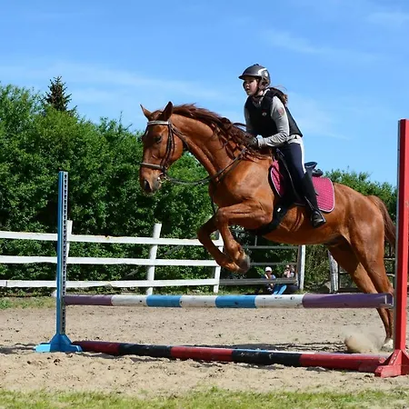 Agroturystyka Trzcinowy Zakatek 农家乐 Wijewo