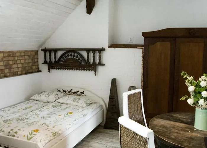 Agroturystyka Trzcinowy Zakatek * Wijewo