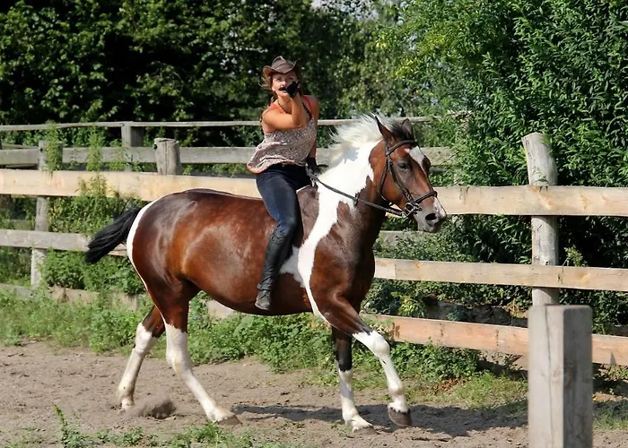 Agroturystyka Trzcinowy Zakatek Agroturismo *