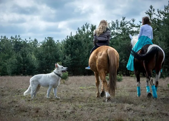 Agroturismo Agroturystyka Trzcinowy Zakatek Wijewo