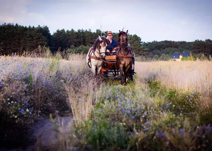 Agroturismo Agroturystyka Trzcinowy Zakatek
