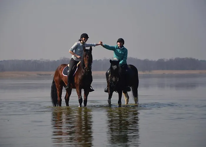 Agroturystyka Trzcinowy Zakatek Agroturismo *